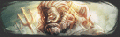 Thumbnail for version as of 16:11, 21 March 2021